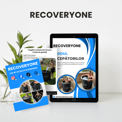 RecoveryOne - Ghid Gratuit pentru Începători